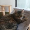 Minou - Teenie-Mama
