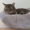 Minou - Teenie-Mama