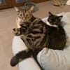Livie und Jonny