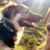 Reya: Wunderschön und voller Energie (D)