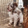Honey in 86529 Schrobenhausen