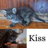 KISS