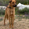 DUKE (Maria)