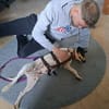 Jack Russel Fan`s aufgepasst: PIXIE :-)