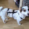 SISSY ist zauberhaft