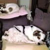 SISSY ist zauberhaft
