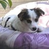 SISSY ist zauberhaft