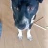 JONAH -sucht erfahrene Menschen-