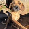 Unkomplizierte Mari sucht ihre Familie!