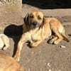 Unkomplizierte Mari sucht ihre Familie!