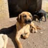 Unkomplizierte Mari sucht ihre Familie!