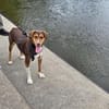 Zauberhafte Ruby sucht..