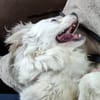 LUKE - selbstbewusst lieb aufgeschlossen