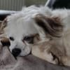 LUKE - selbstbewusst lieb aufgeschlossen