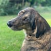 Liebevolle Sara sucht dich!