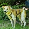 LOVELYN -sucht erfahrene Menschen-