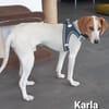 Blind Date gefällig? Karla wartet