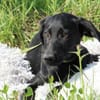 Herzensbrecher Maniso sucht dich
