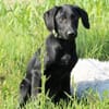 Herzensbrecher Maniso sucht dich