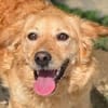 LOLA 2 sucht Familie