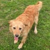 LOLA 2 sucht Familie