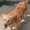 LOLA 2 sucht Familie