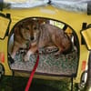 Lucia, Seniorin sucht Altersresidenz