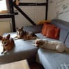 Lucia, Seniorin sucht Altersresidenz
