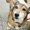 Lucia, Seniorin sucht Altersresidenz