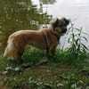 Maggy