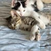 Teddy und Mousy aus dem Tierschutz