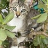 Teddy und Mousy aus dem Tierschutz