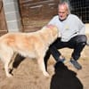 Geben Sie Senior Rocky eine Chance?