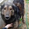 Zauberhafte Mona sucht Ihr Zuhause