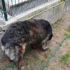 Zauberhafte Mona sucht Ihr Zuhause