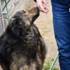 Zauberhafte Mona sucht Ihr Zuhause