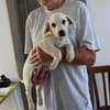Pablo sucht seine Menschen
