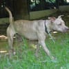 NALA CHAO
