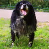 ERKA