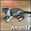 Amande