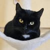 MOMO - geb. ca. 05/2022 - wk