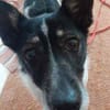 ISSKO * freundlicher Bub im besten Alter