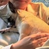 kleiner Prinz sucht kuschliges Zuhause