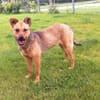 WENDY aus Italien sucht ihr zu Hause