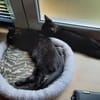 MAC & MARLON suchen ein Zuhause