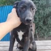 Beni, Zartes Sensibelchen, 5M 81679