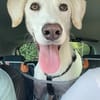 HERKULES, alias LOKI