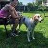 Kuschelbär Quinny sucht seine Familie