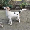 Kuschelbär Quinny sucht seine Familie