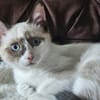 NALA - ein absolutes Goldstück!